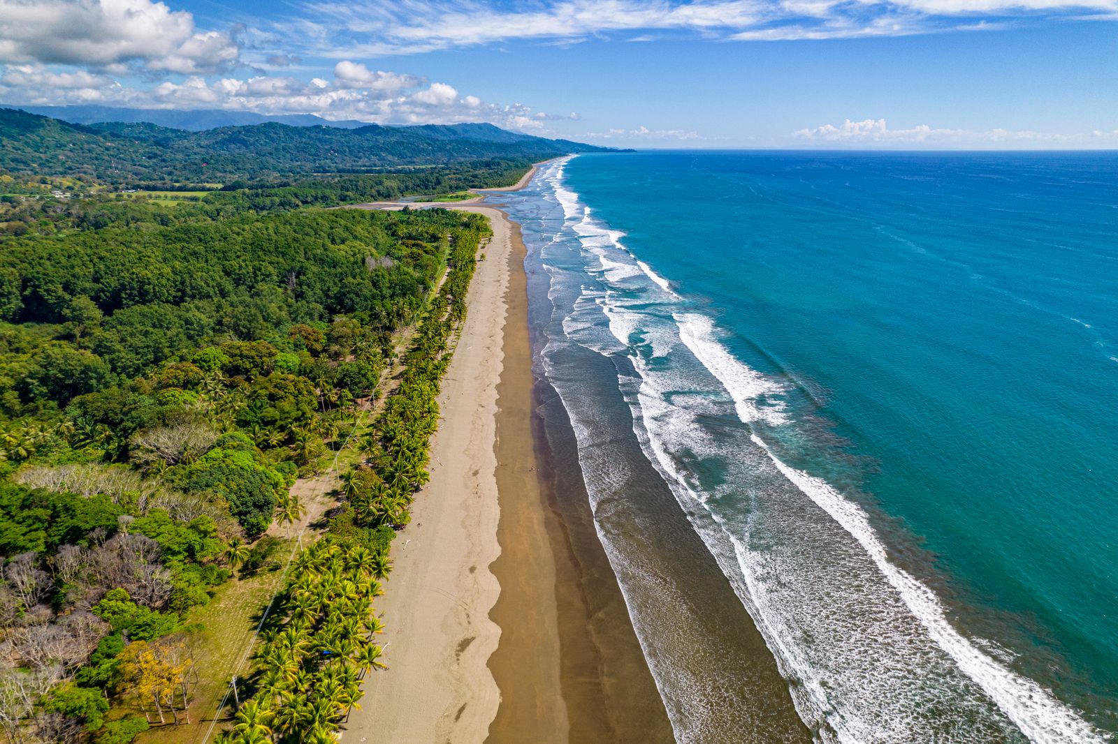 All Things Papagayo, Costa Rica