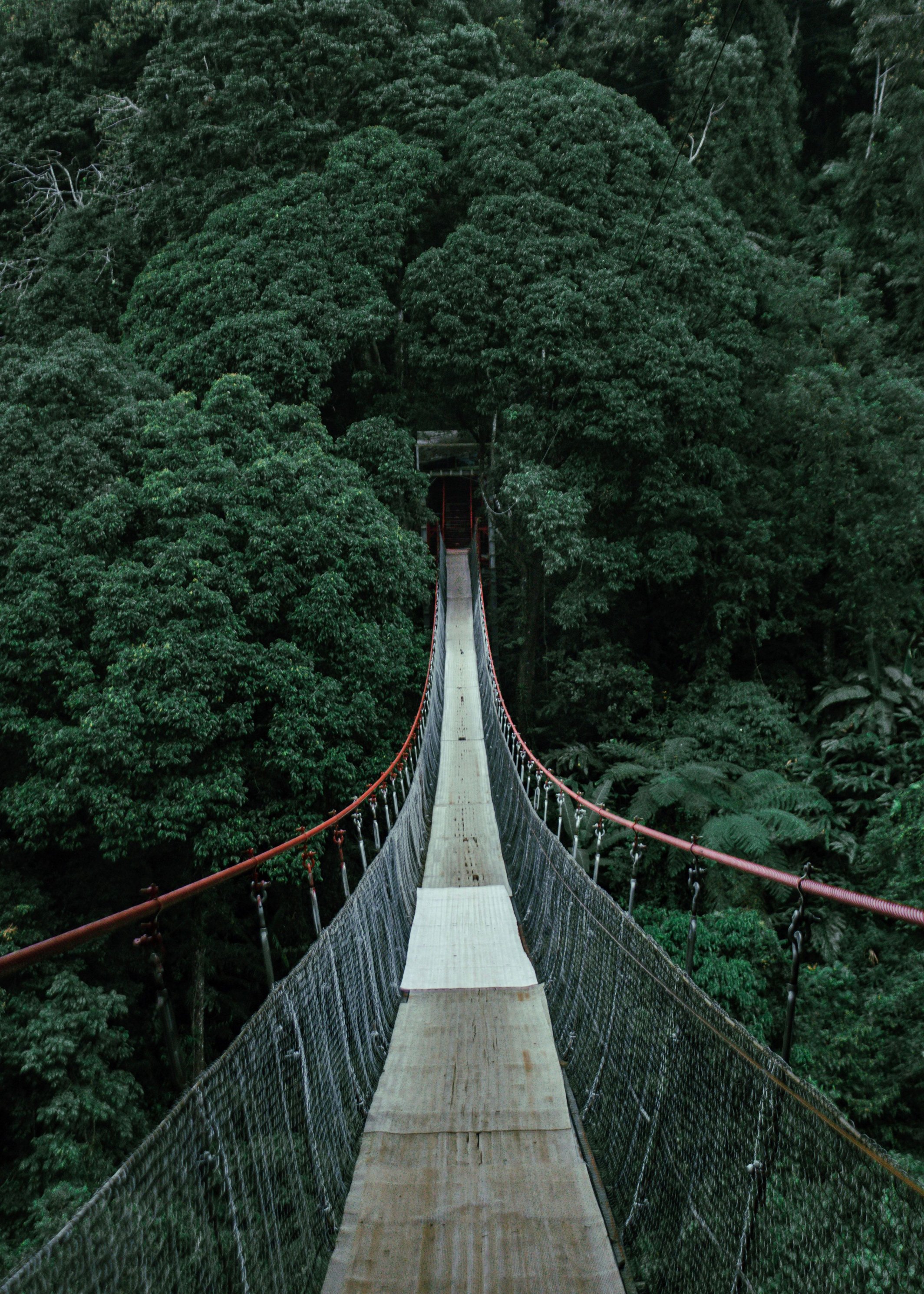 10 days: Arenal + Monteverde + Manuel Antonio, Costa Rica