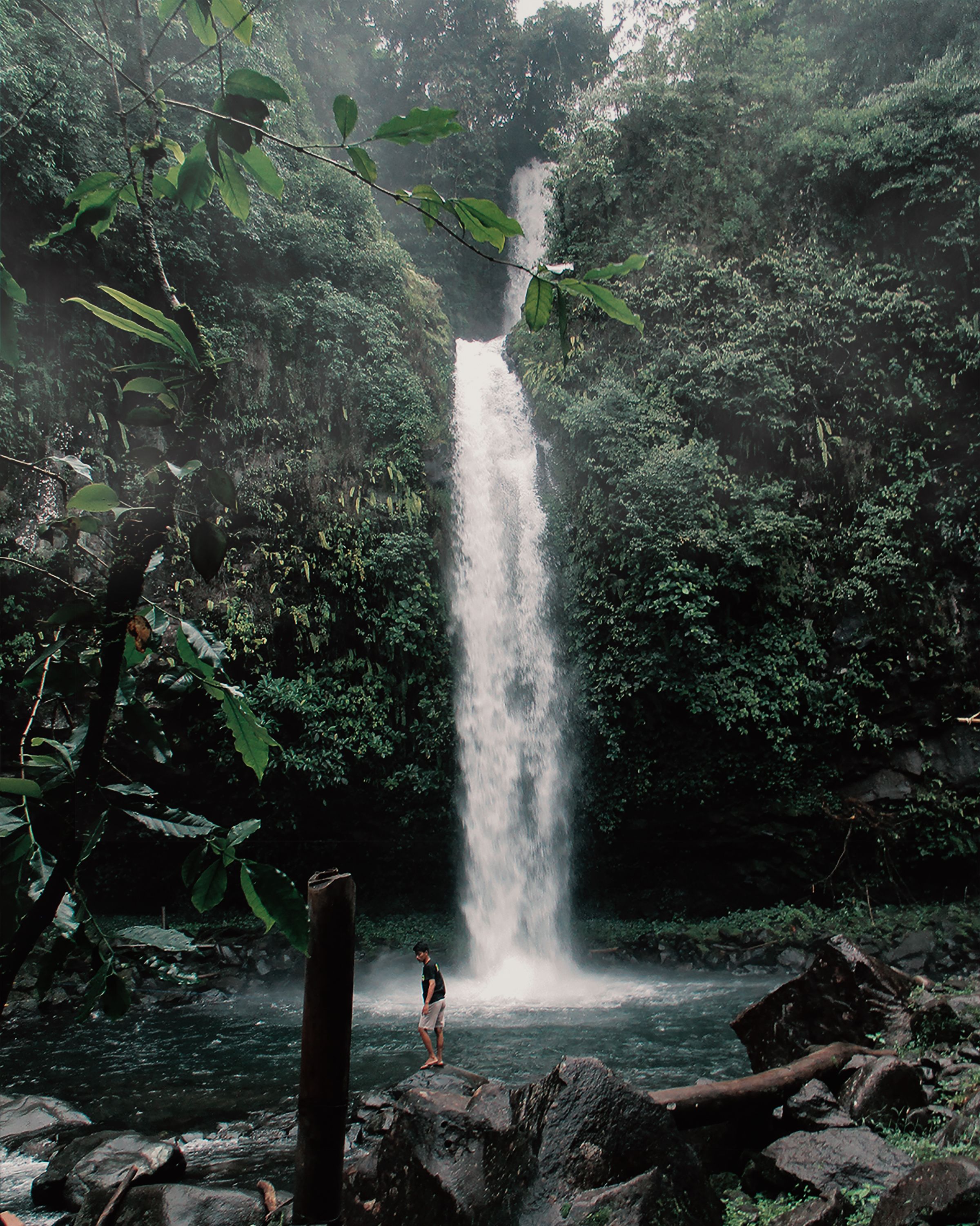 5 days: Arenal + Monteverde adventure express, Costa Rica