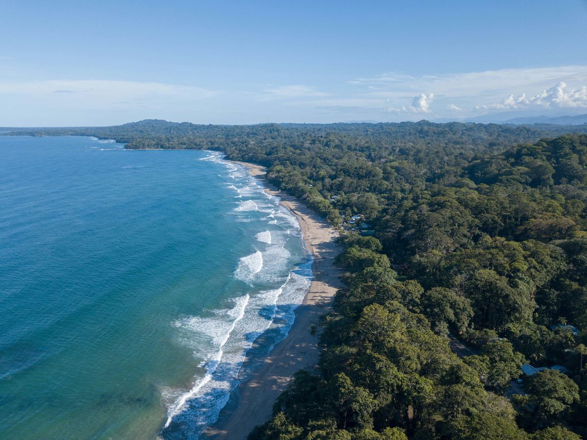 Aerial view of the Caribbean coastline of Costa Rica, forest meeting the sea