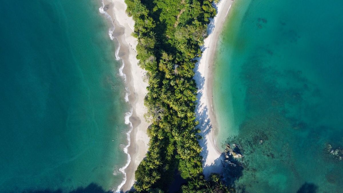 All Things Manuel Antonio, Costa Rica