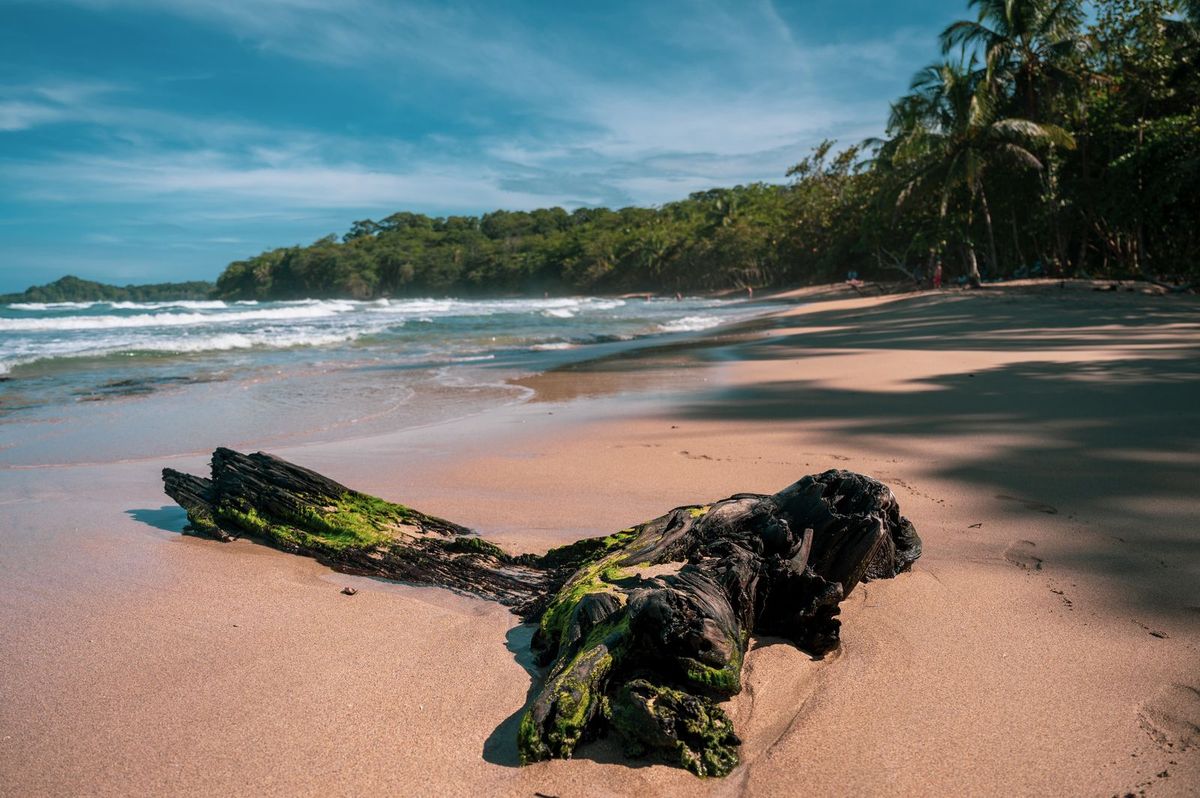 All Things Puerto Viejo, Costa Rica